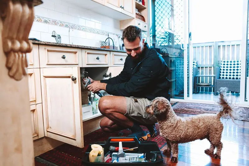Employee on a Job with a Dog — Reliable Local Plumbers in Gold Coast