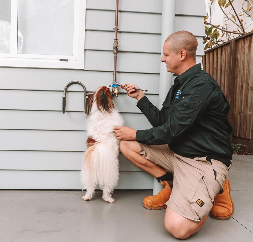 Dog Drinking Straight From the Tap While Plumber Works — Reliable Local Plumbers in Gold Coast